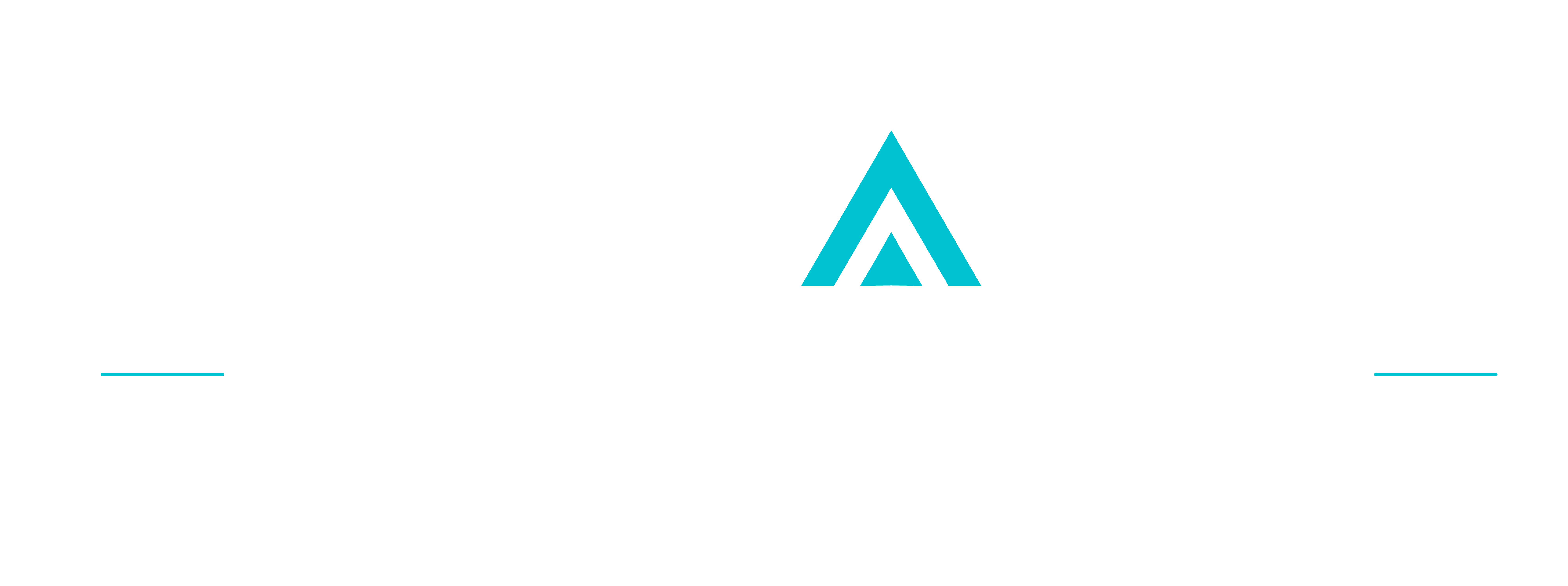 SINNAXIA Tecnología Estratégica