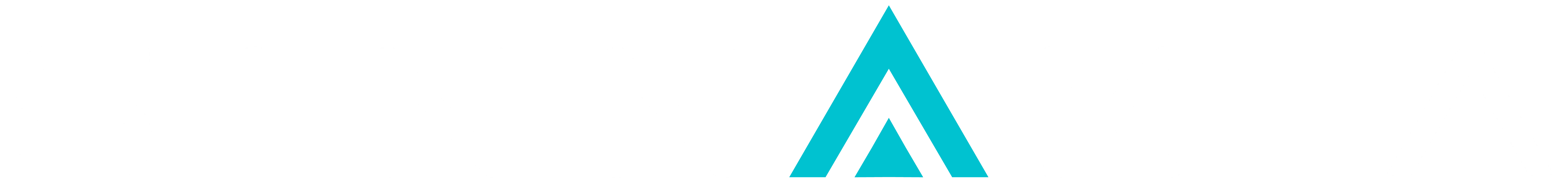 SINNAXIA Tecnología Estratégica
